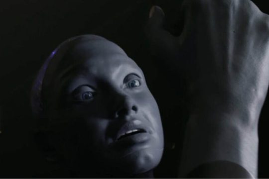 human fiction